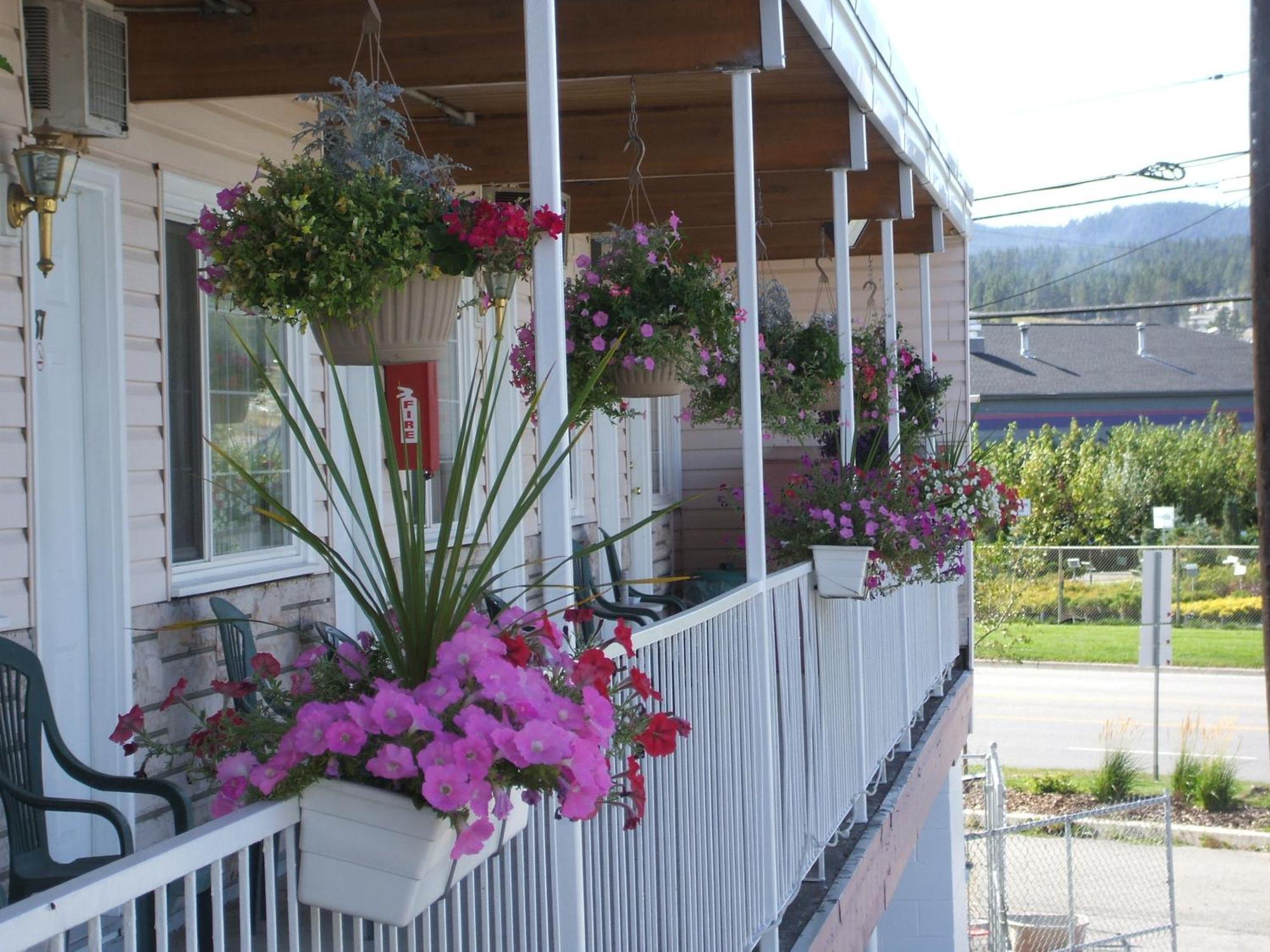 Travellers Motel Cranbrook Kültér fotó